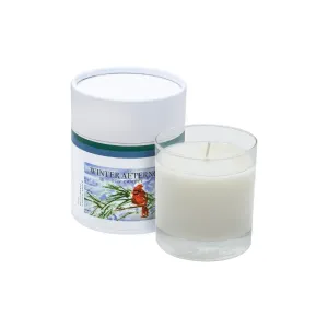 8.5 oz Scented Soy Candle - Holiday Lift™