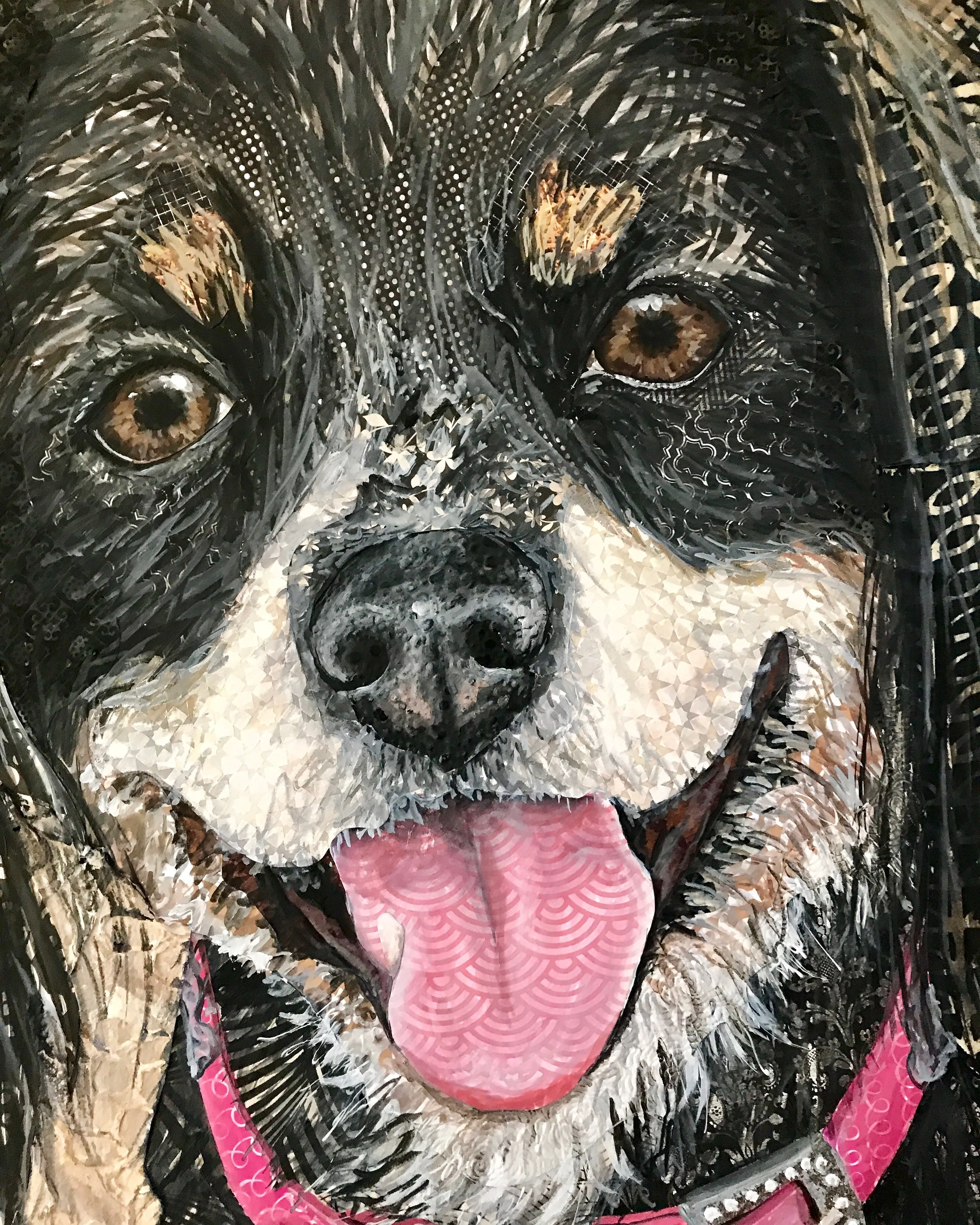Abby - King Charles Cavalier/ Cocker Spaniel Mix