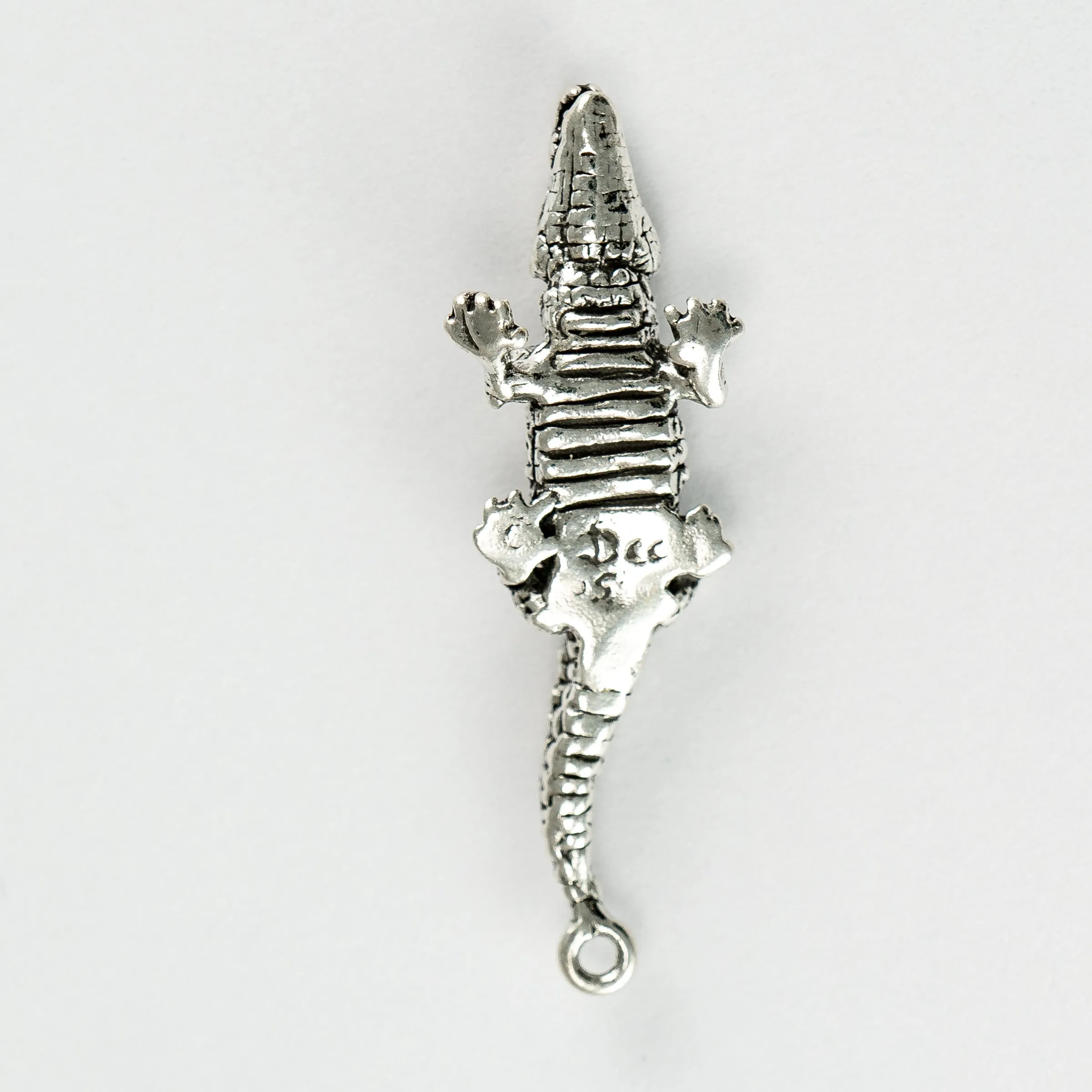 Alligator