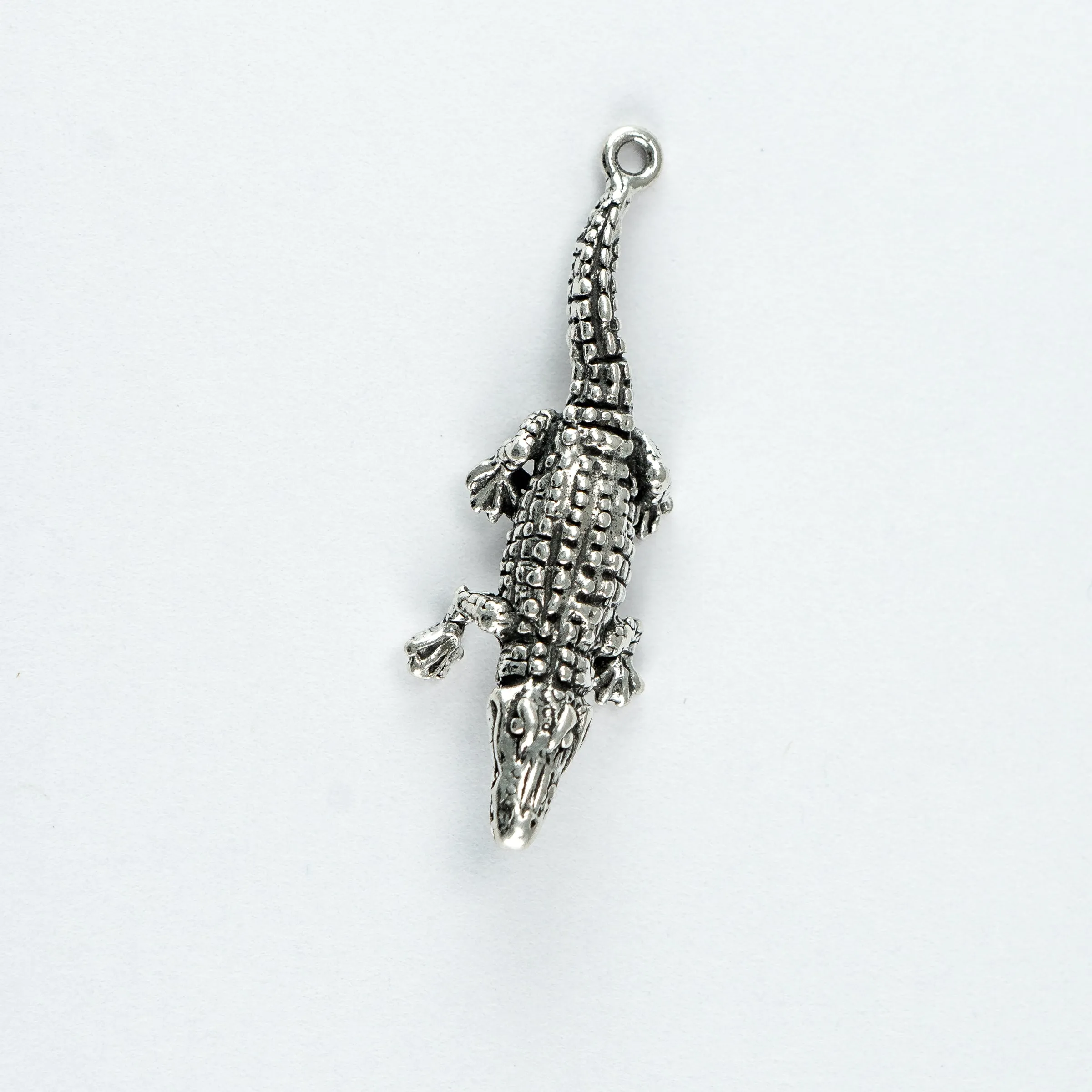 Alligator