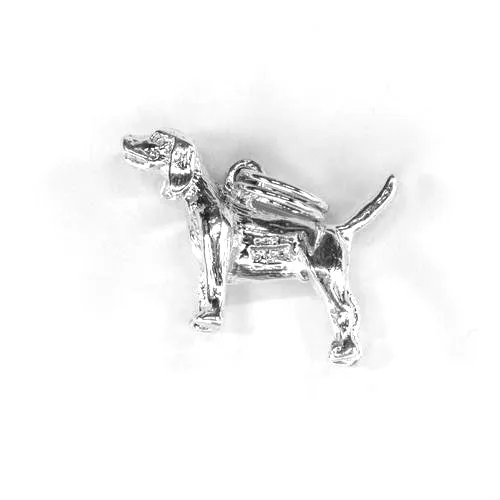 Beagle, Body