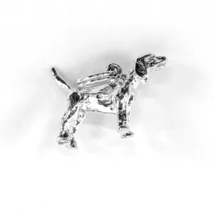 Beagle, Body
