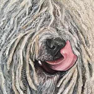 Berry - Komondor