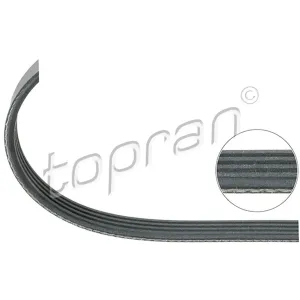 BMW Ribbed V-Belt 4PK882 Climate Compressor X5 M57N 64557786705