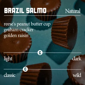 Brazil Salmo