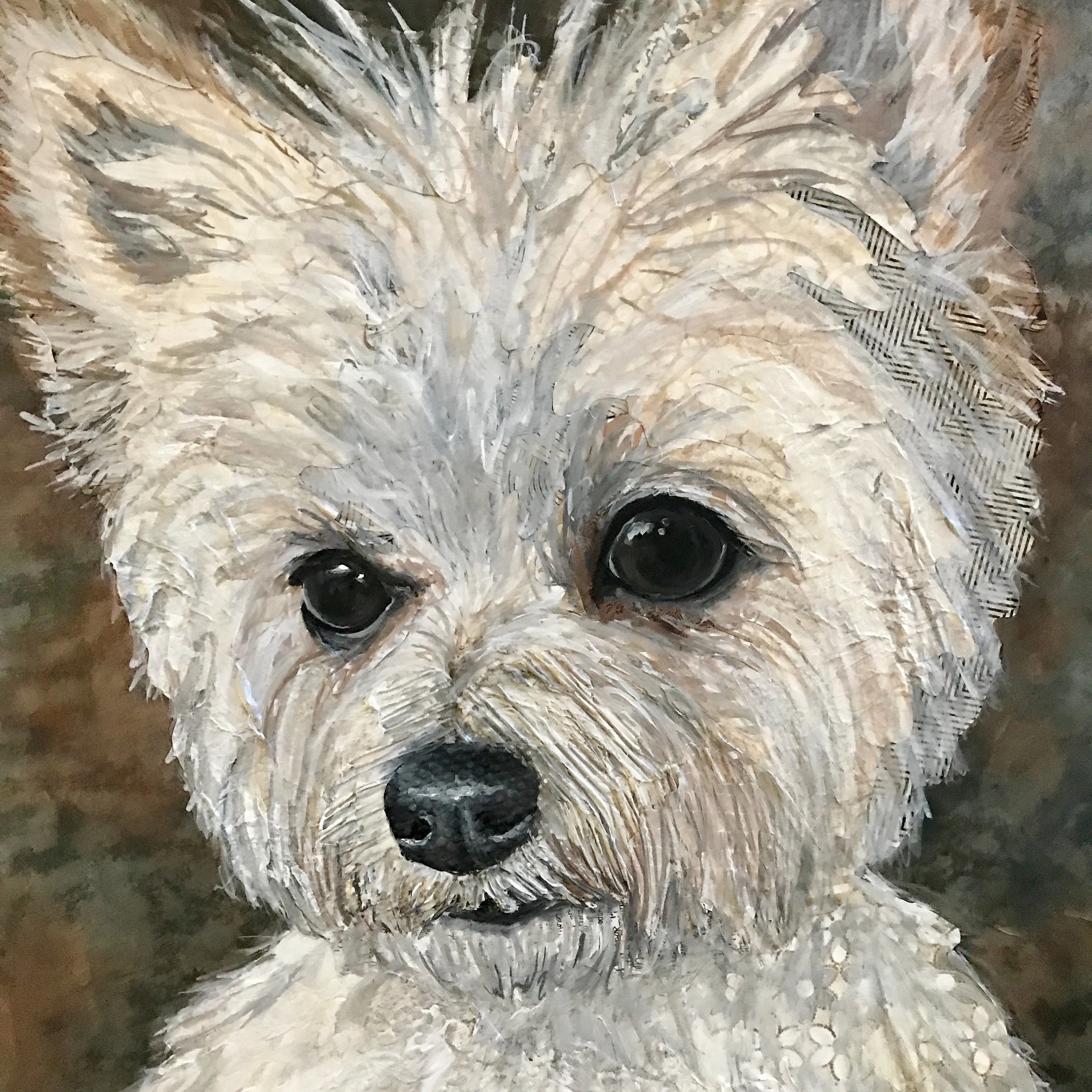 Bubbles - Chihuahua Mix