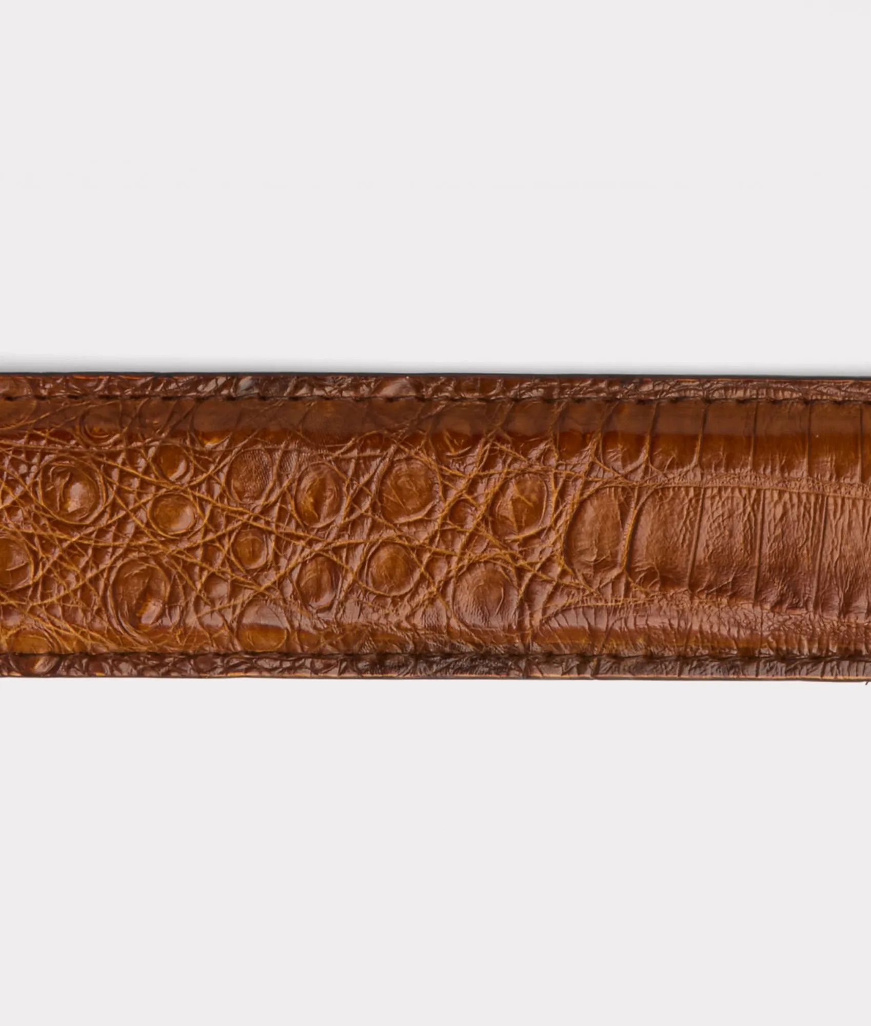 Buckaroo Belt :: Cognac