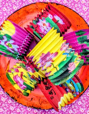 Chinese bird and lotus paper lanterns