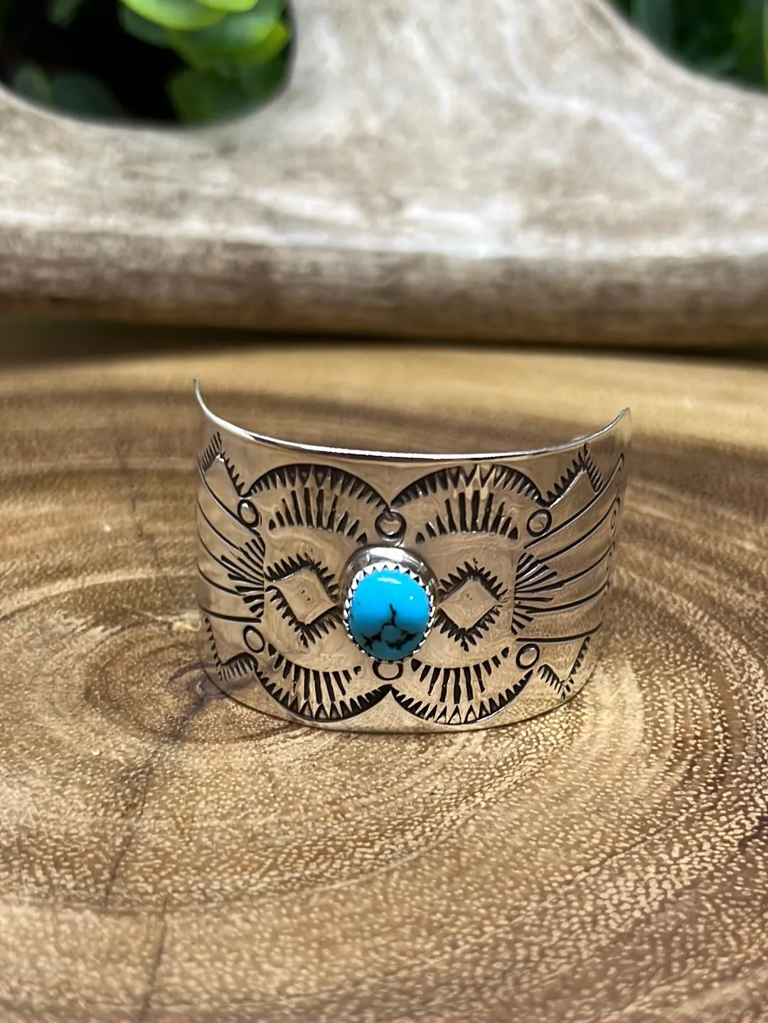 Colby Sterling  & Turquoise Pony Tail Barrette