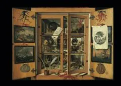 Collecting Nature Book