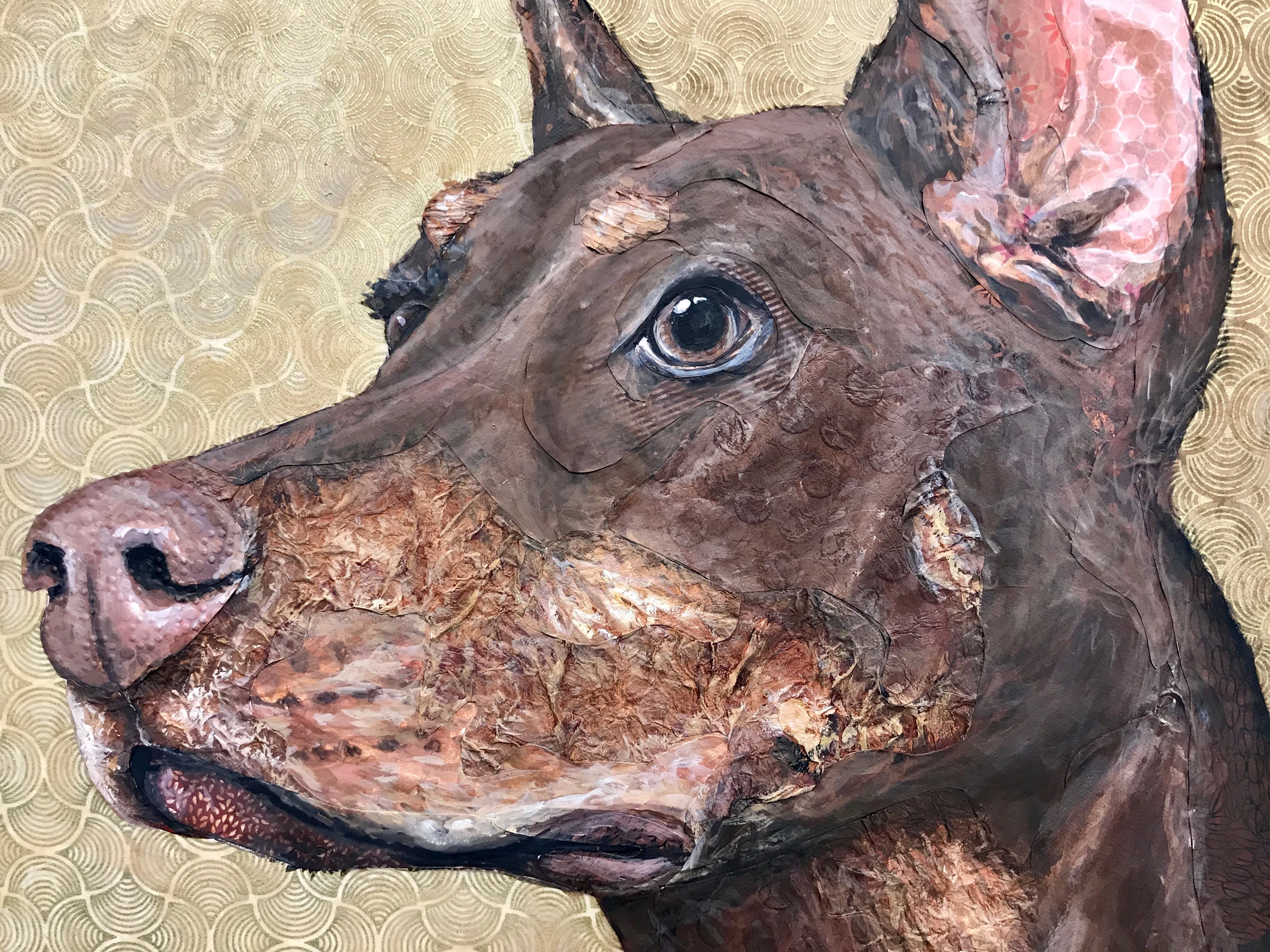 Covergirl - Doberman Pinscher
