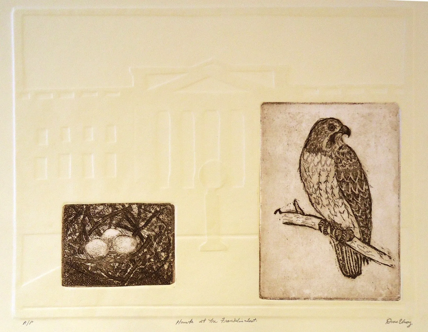 Dan McElroy: Hawk at the Franklin Institute