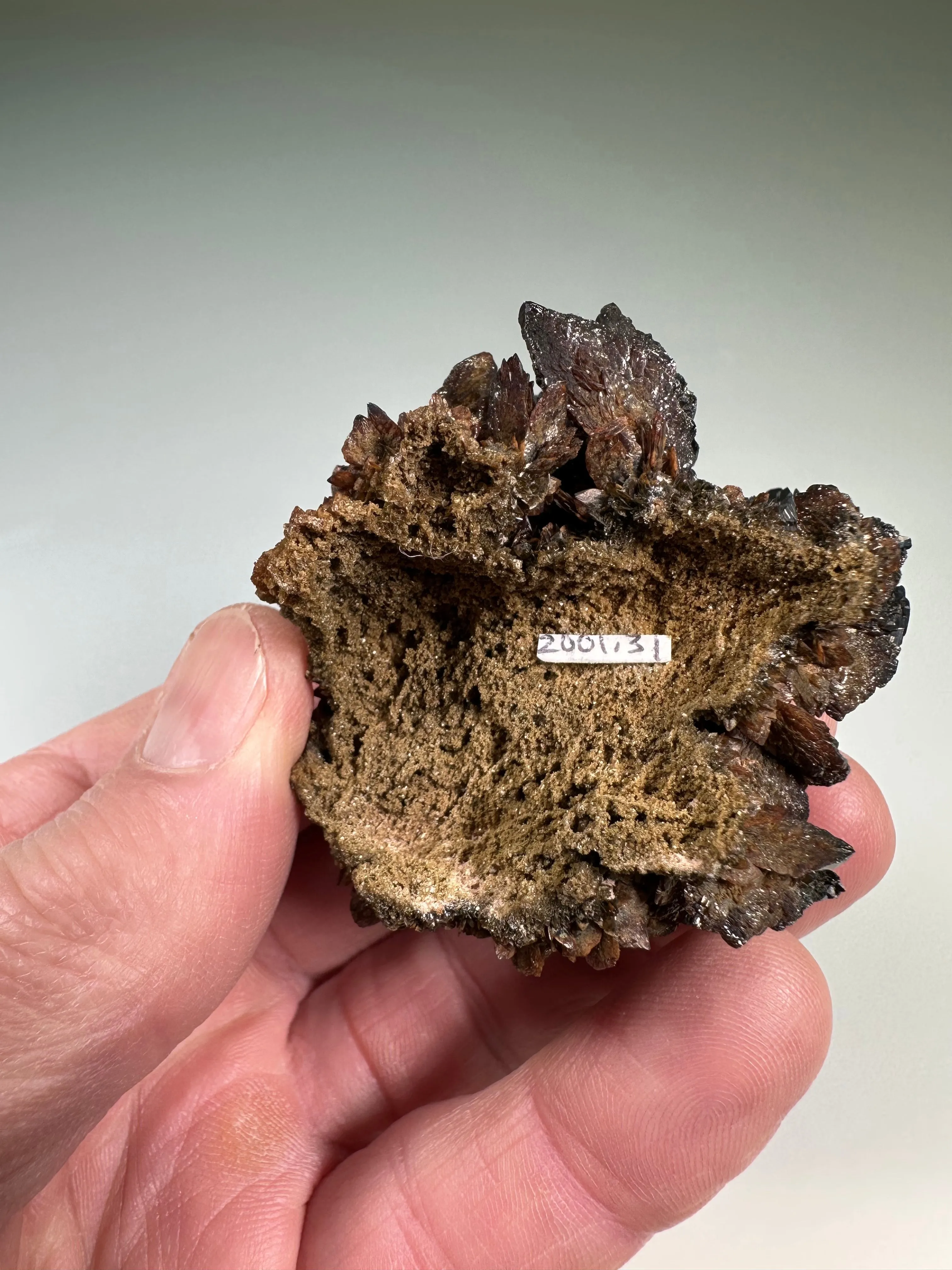 Descloizite, Berg Aukas, Namibia, ex. William A. N. Severance Collection 2001.31, Miniature 4.5 x 4.5 x 5.5 cm. $1500. Online March 3.