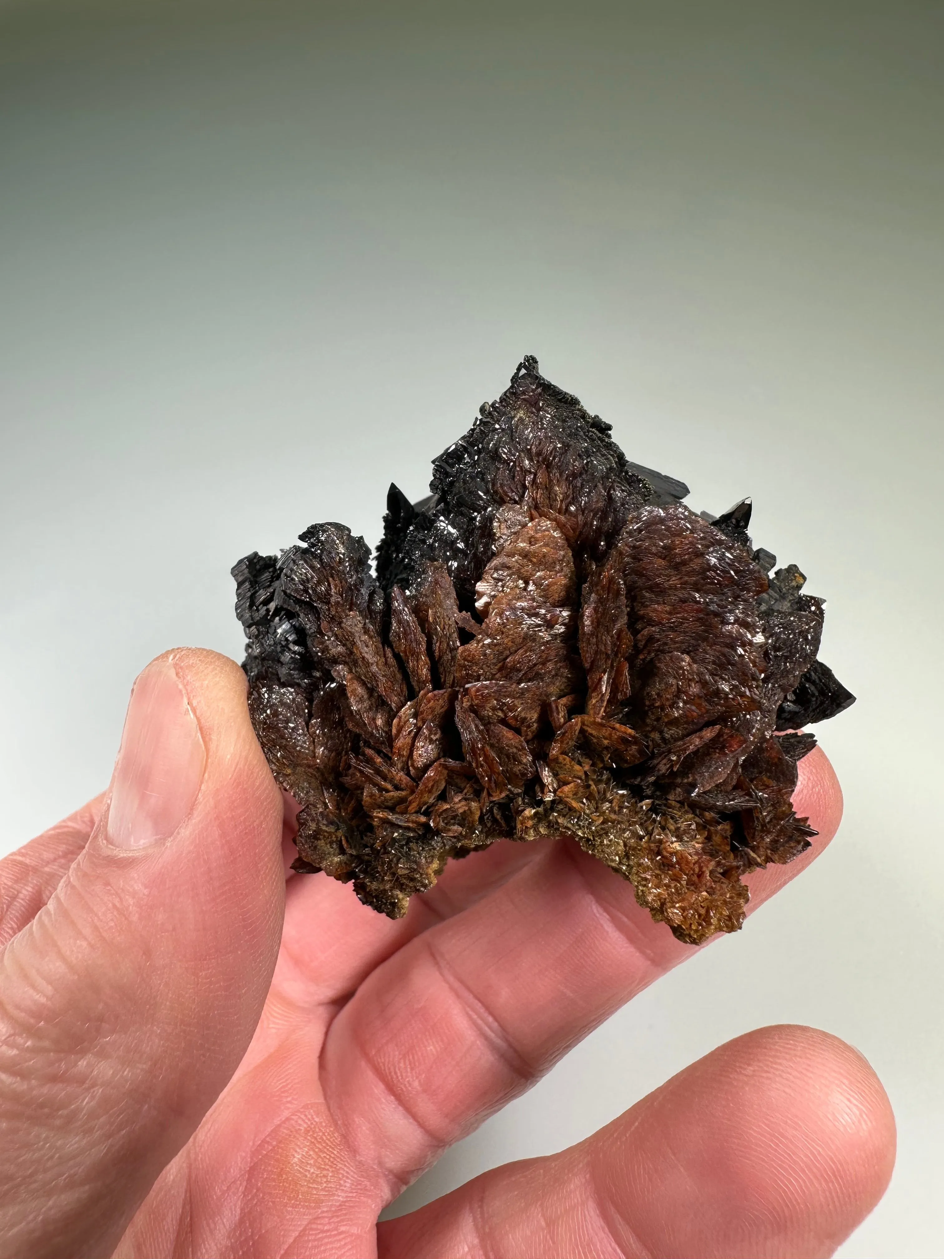 Descloizite, Berg Aukas, Namibia, ex. William A. N. Severance Collection 2001.31, Miniature 4.5 x 4.5 x 5.5 cm. $1500. Online March 3.