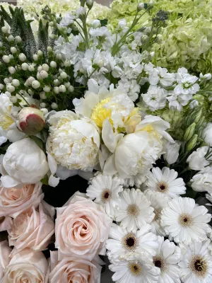 Designer's Choice Whites Spectacular