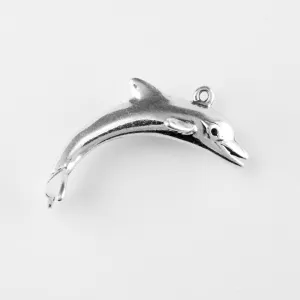 Dolphin, Bottlenose