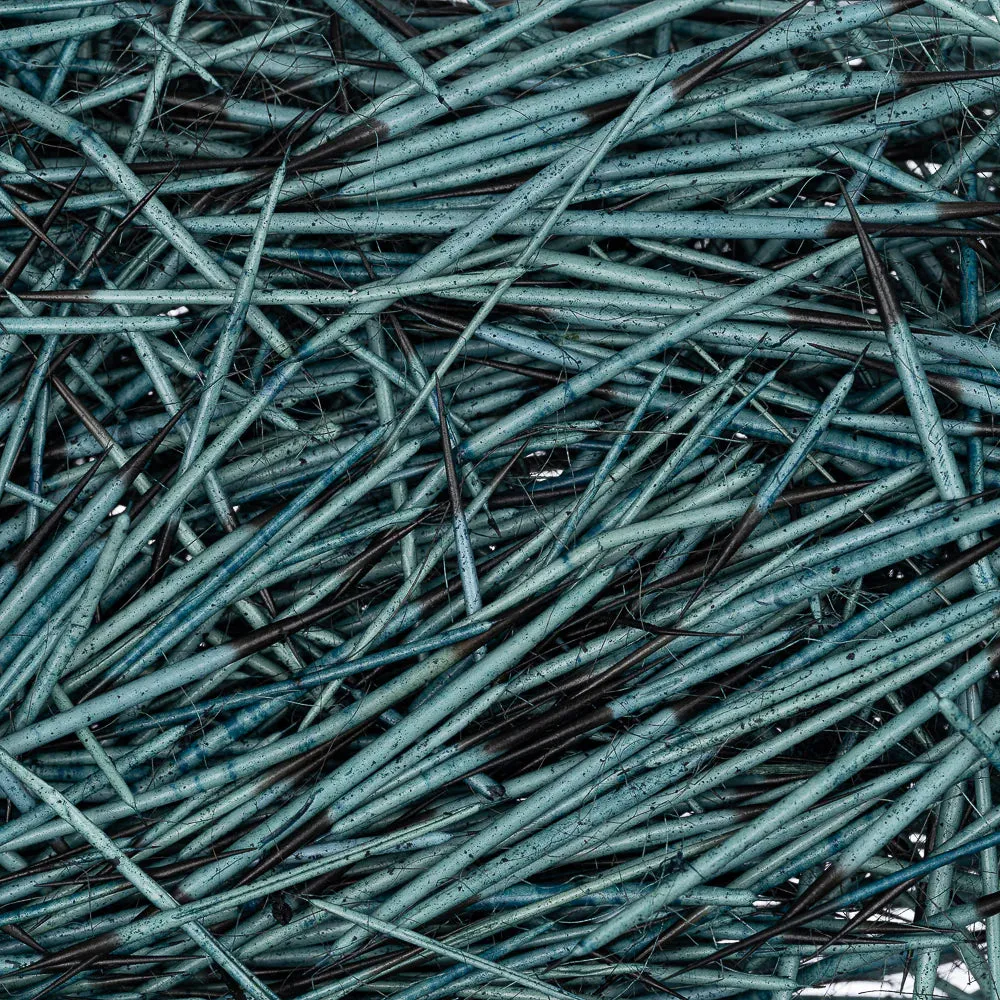 Dyed Turquoise Porcupine Quills 14g Dyed Turquoise Porcupine Quills 14g