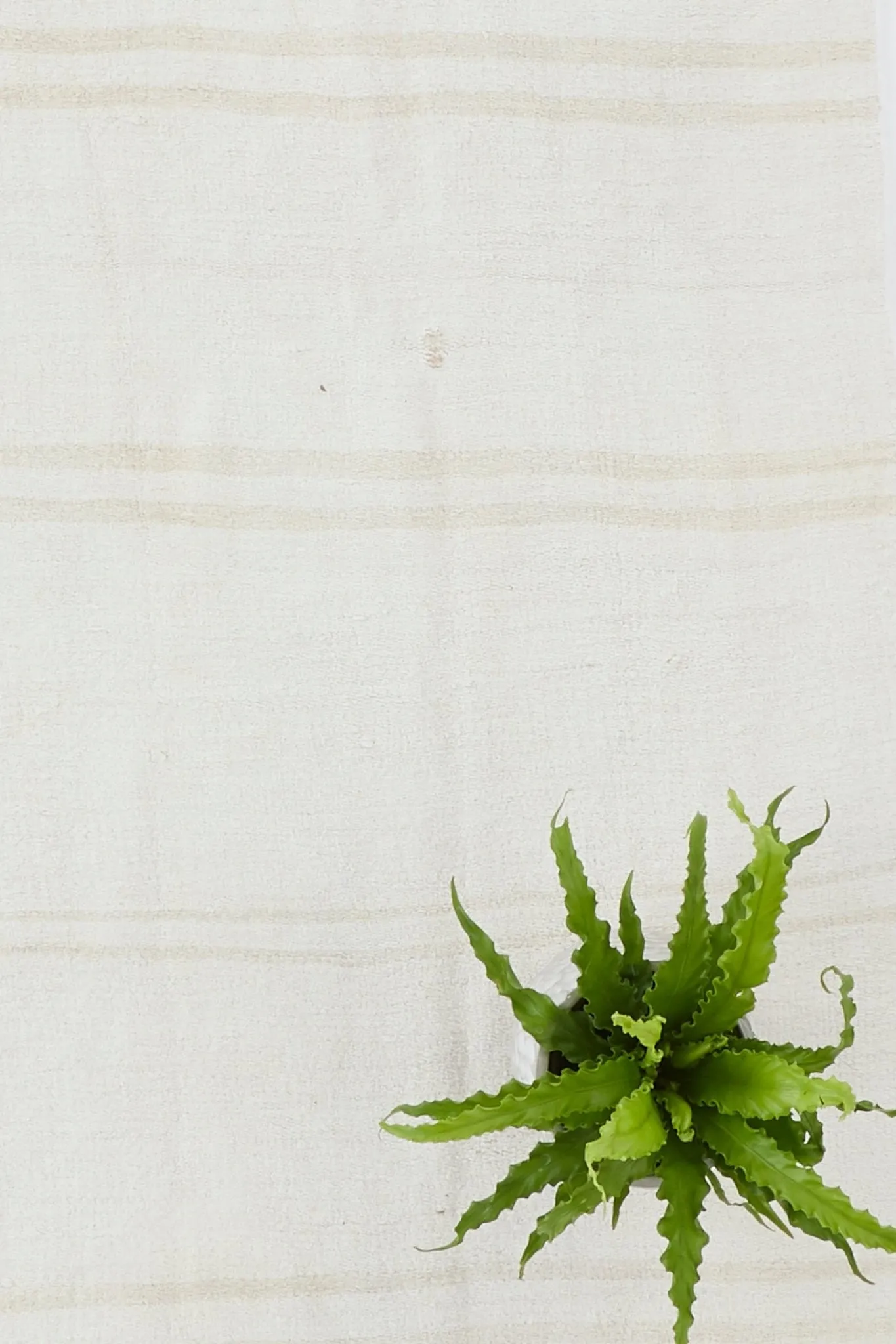 'Eucalyptus' Turkish Vintage Runner - 2'11" x 11'5"