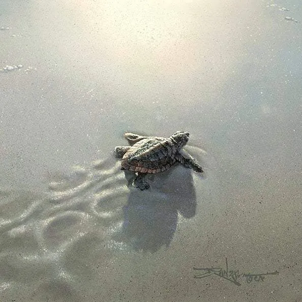 First Light