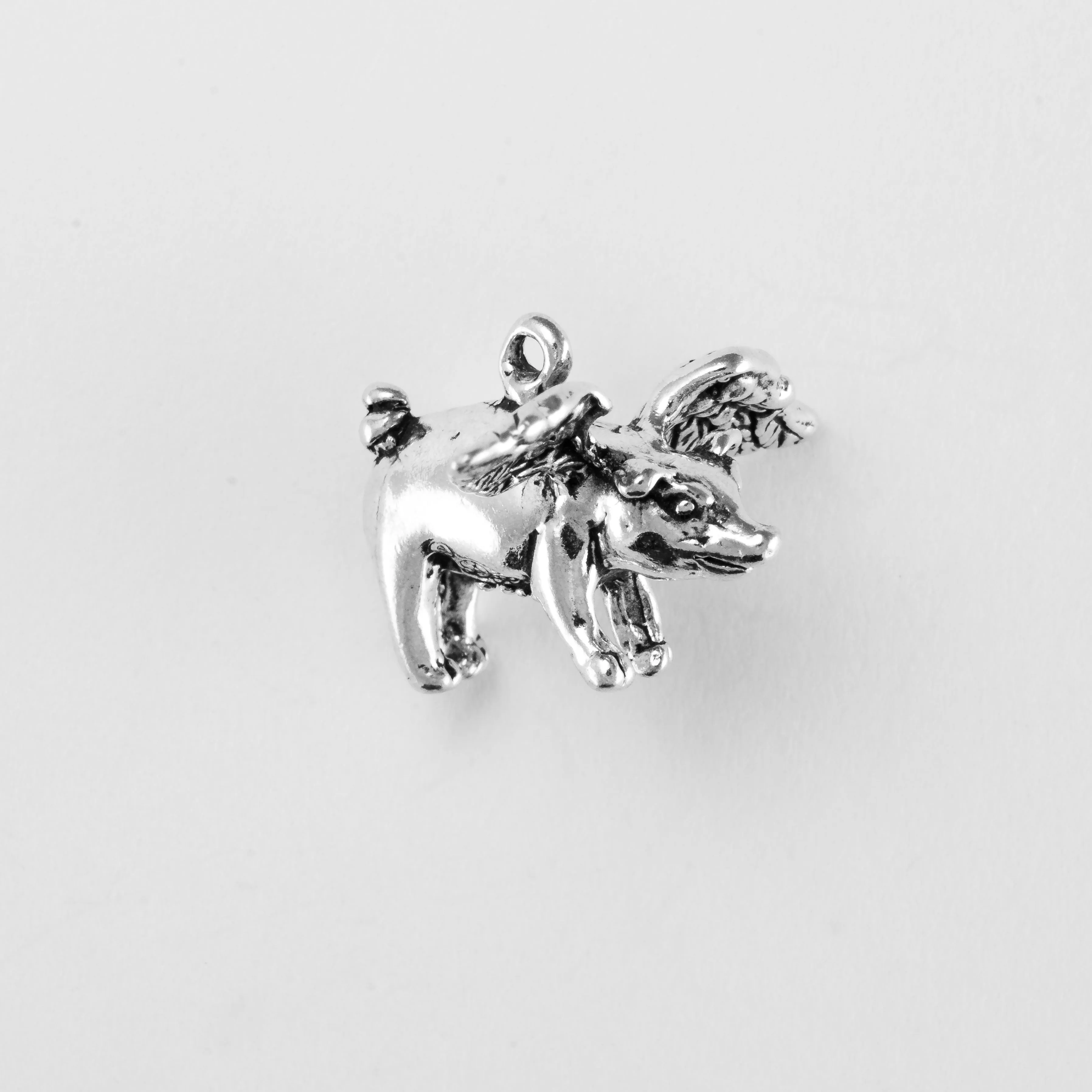 Flying Pig