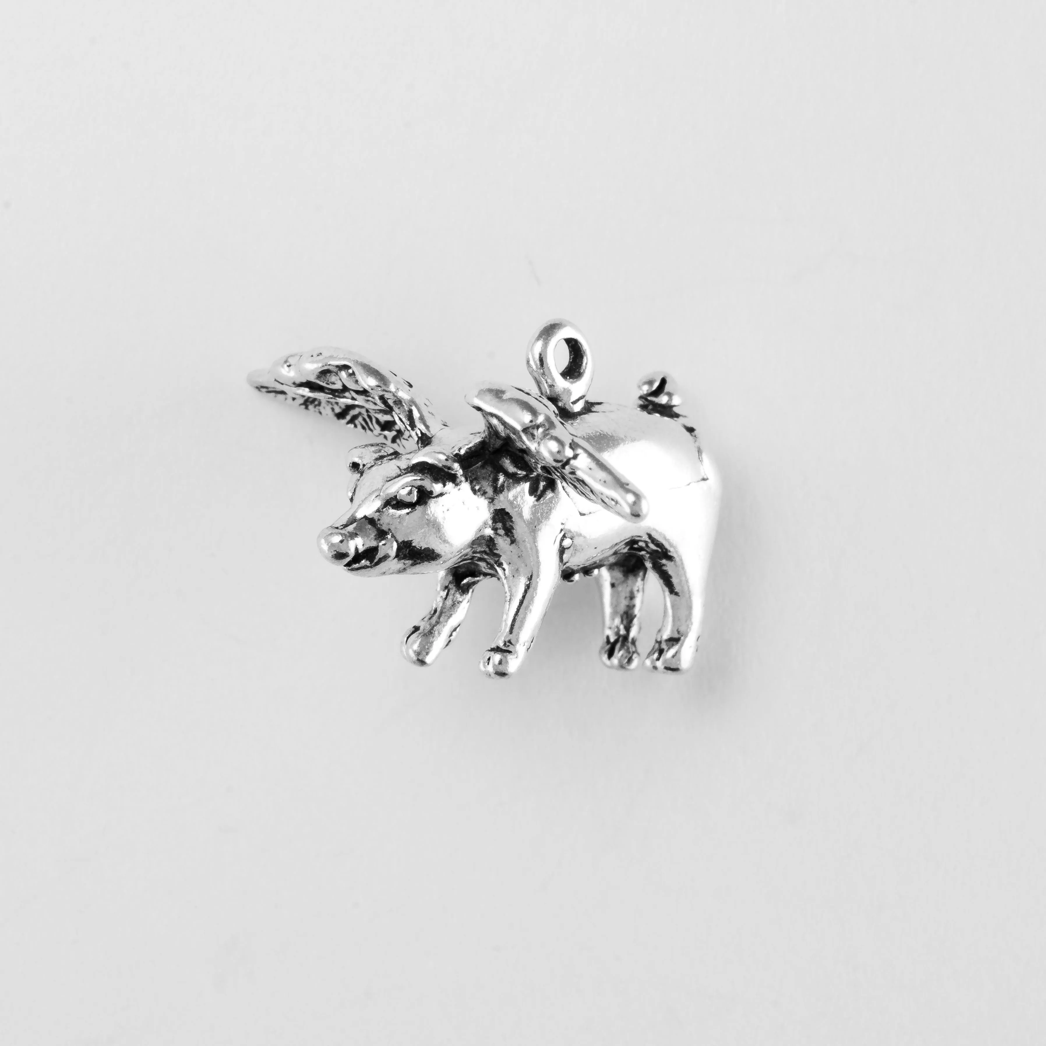 Flying Pig