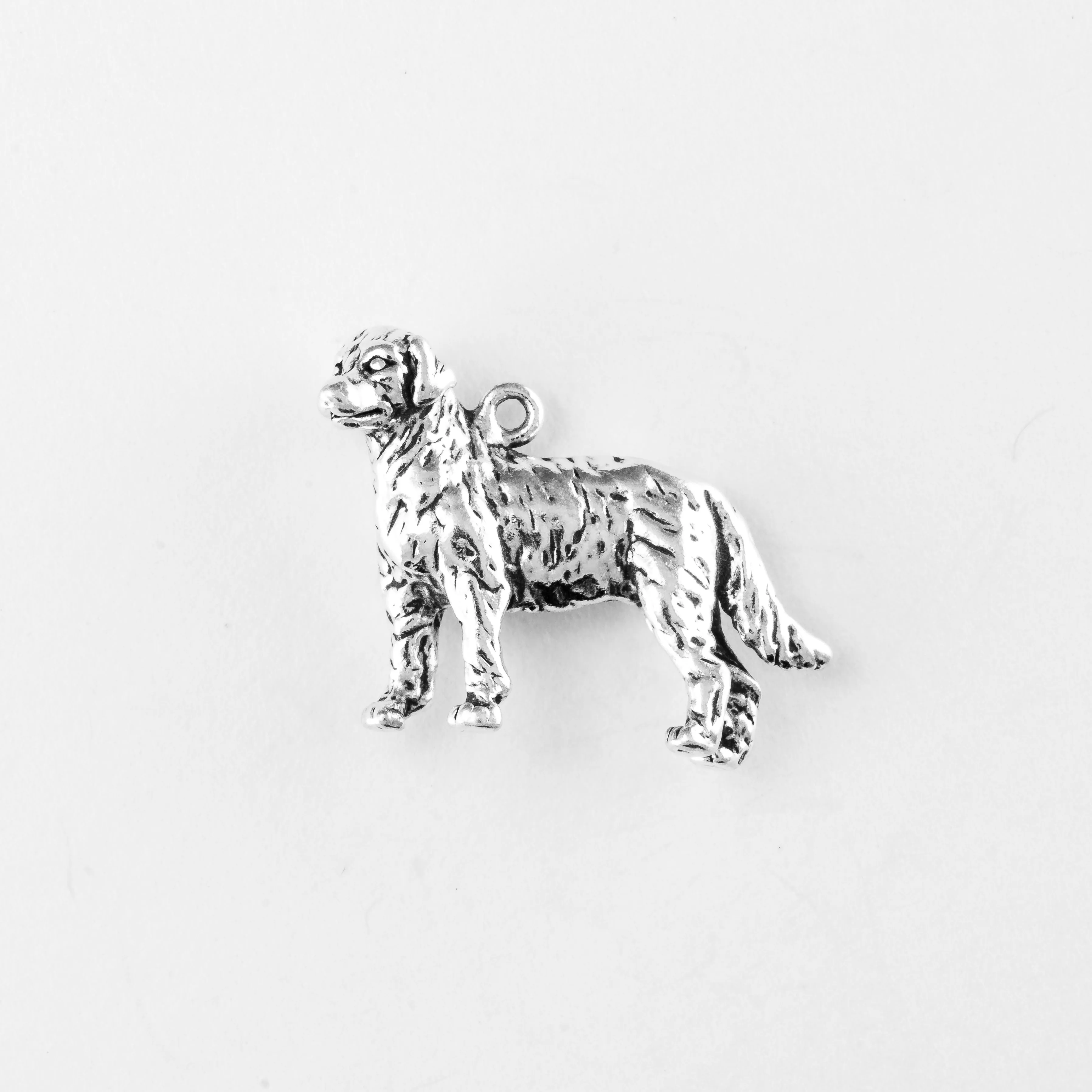 Golden Retriever, Body