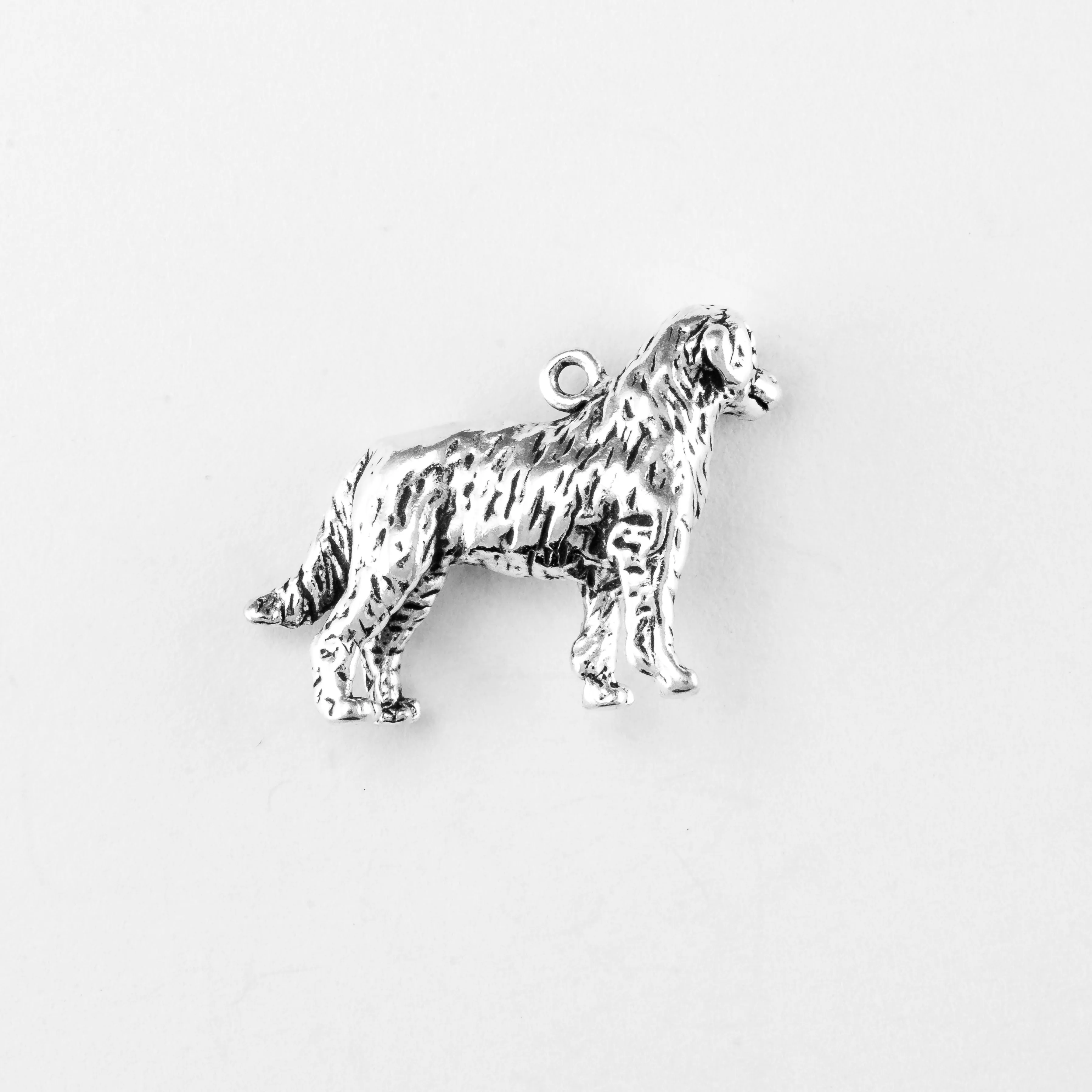 Golden Retriever, Body