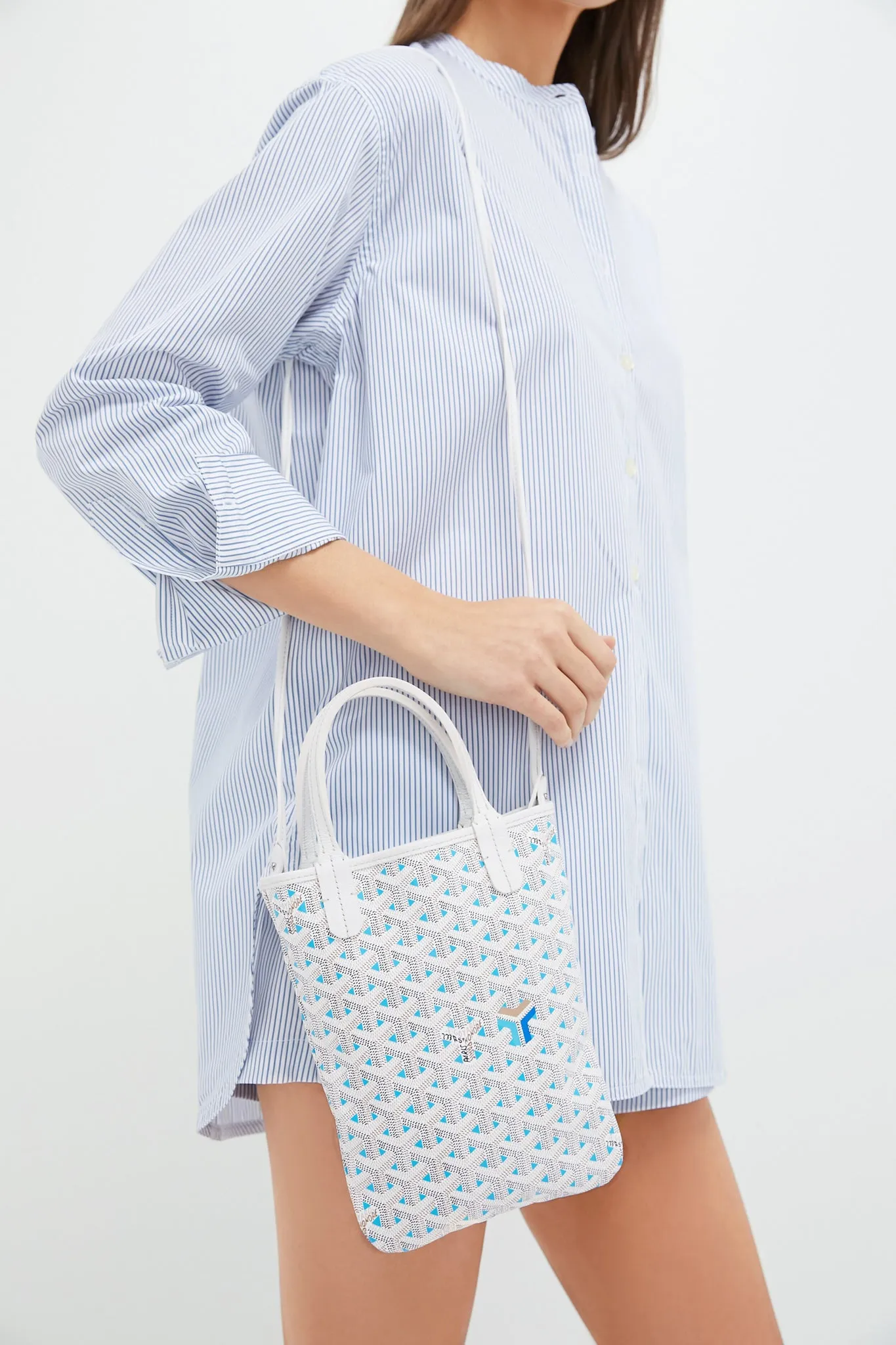 GOYARD Claire Voie Coated Canvas Mini Poitiers Tote