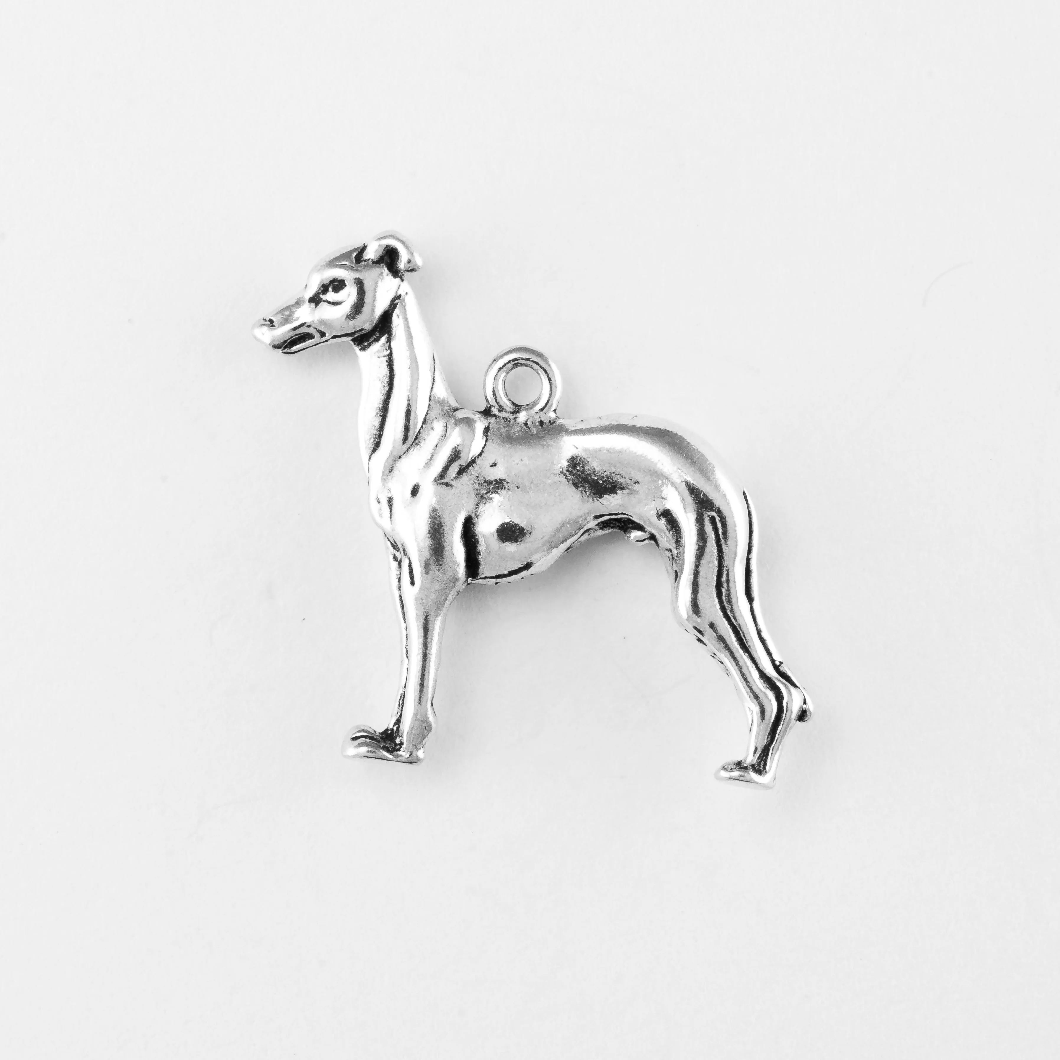 Greyhound
