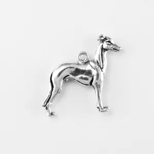 Greyhound