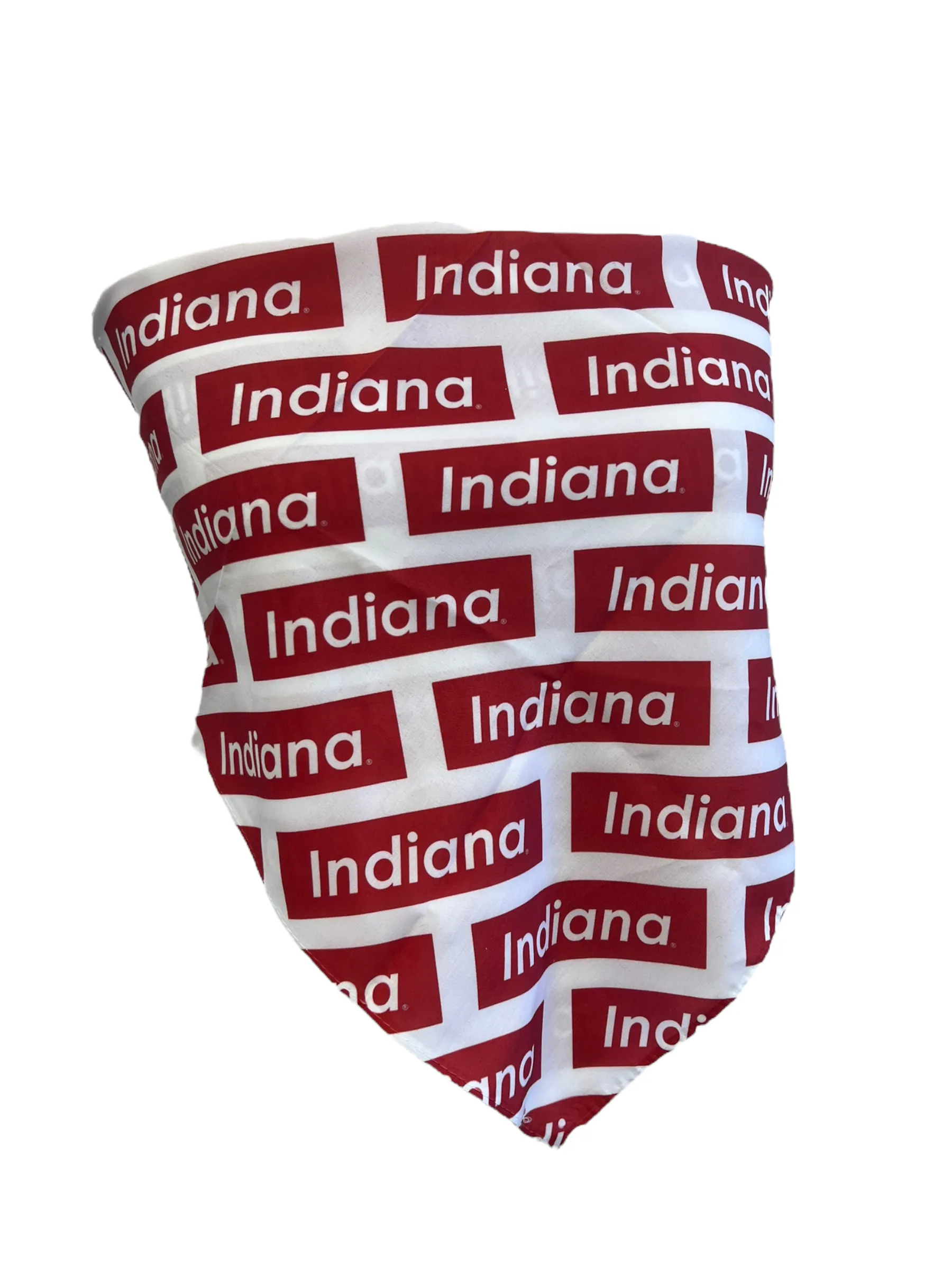 Indiana White Bandana Top