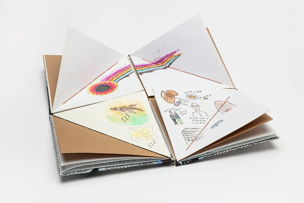 Laura's dream journal by Laura Nash