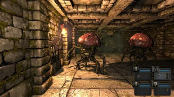 Legend of Grimrock (PC/MAC)