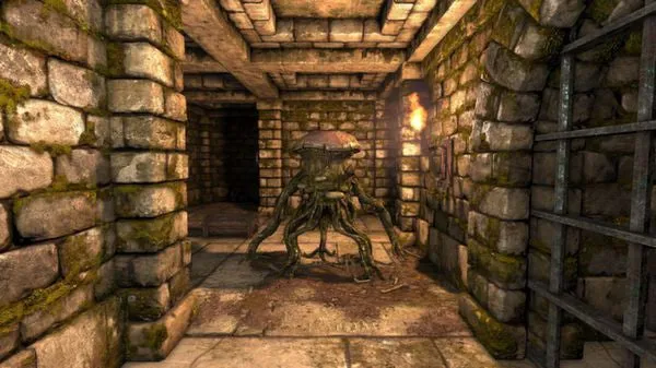Legend of Grimrock (PC/MAC)