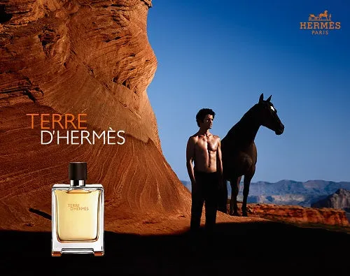 <strong> HERMÈS <br> TERRE D'HERMÈS </strong><br> Eau de Toilette