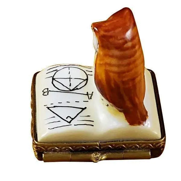 Mini Owl on Book limoges box
