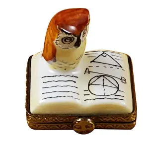 Mini Owl on Book limoges box