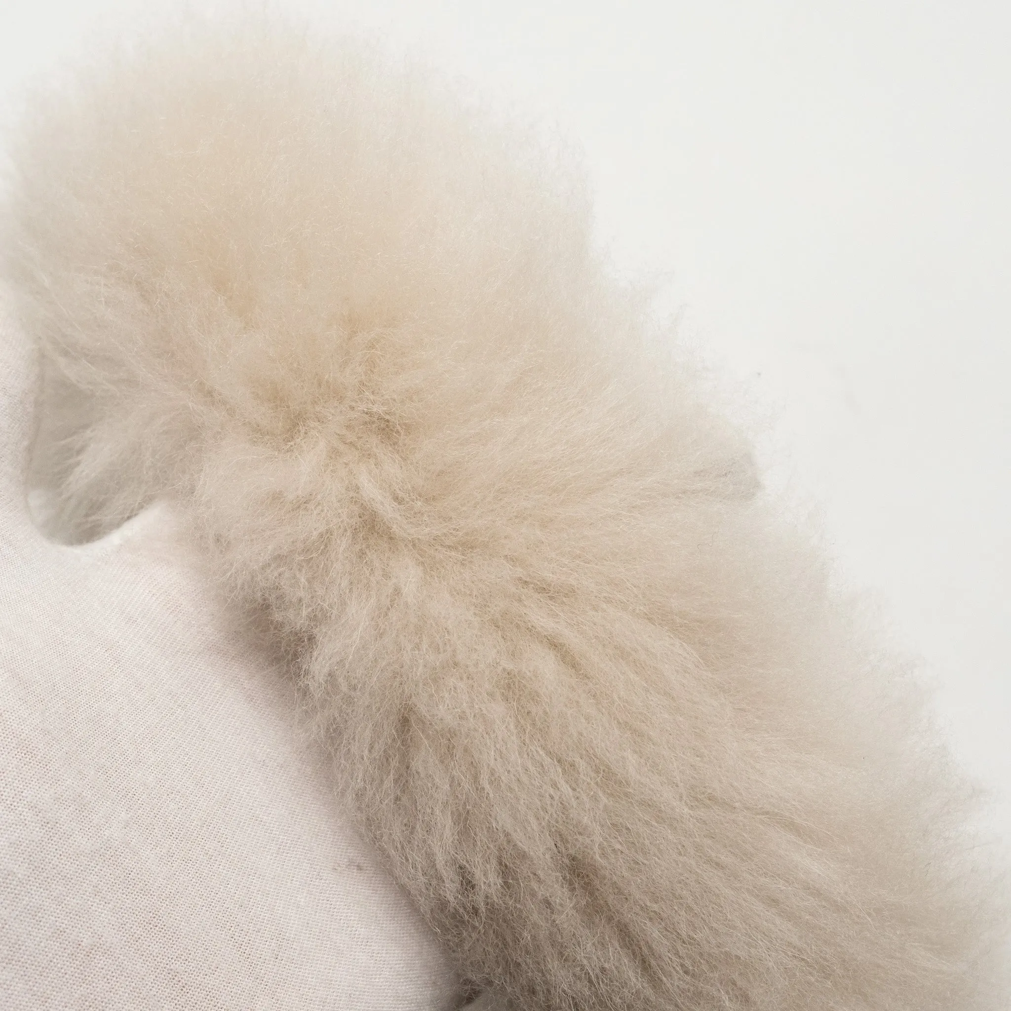 Miu Miu Wander bag shearling light grey GHW