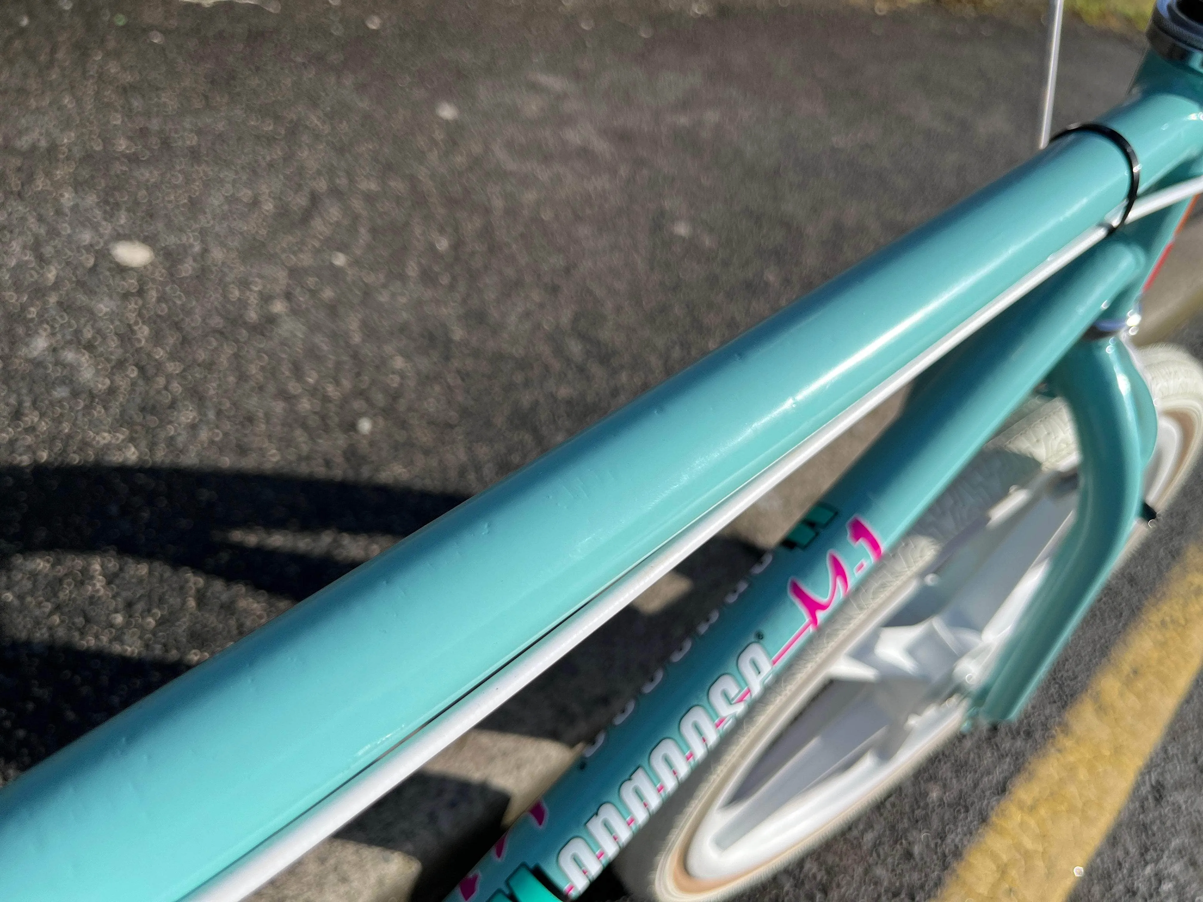 Mongoose M-1 Custom Bike Malibu Mint