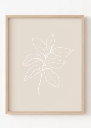 Neutral Branch