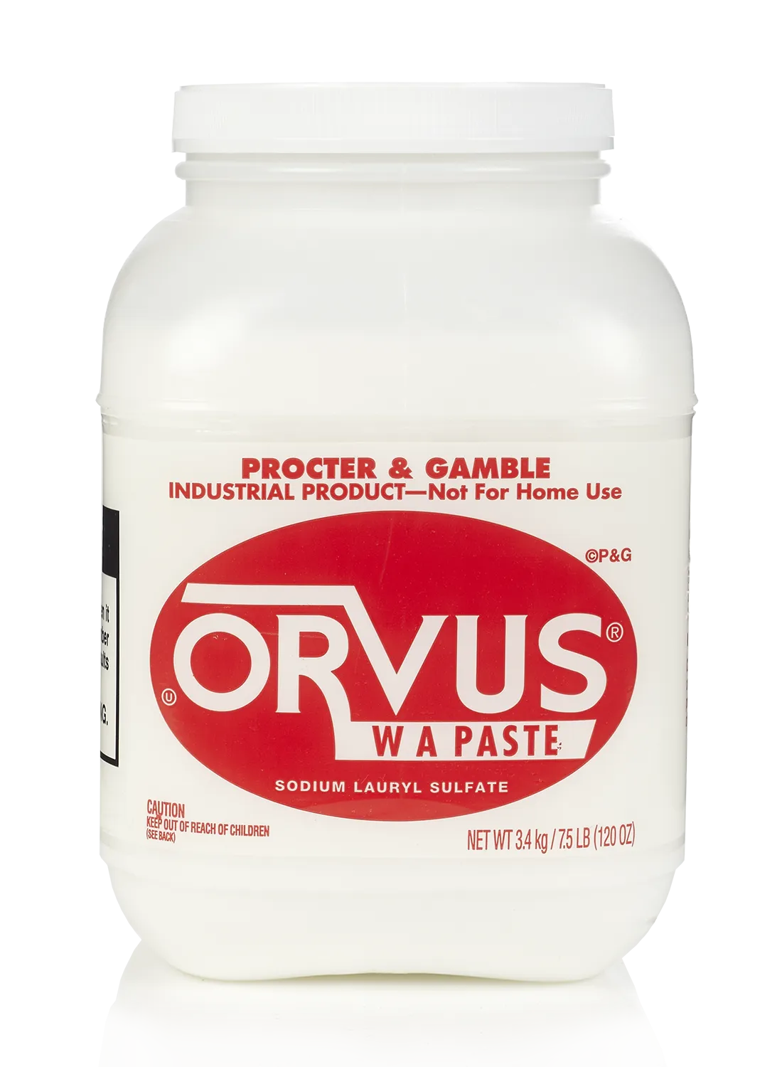 Orvus