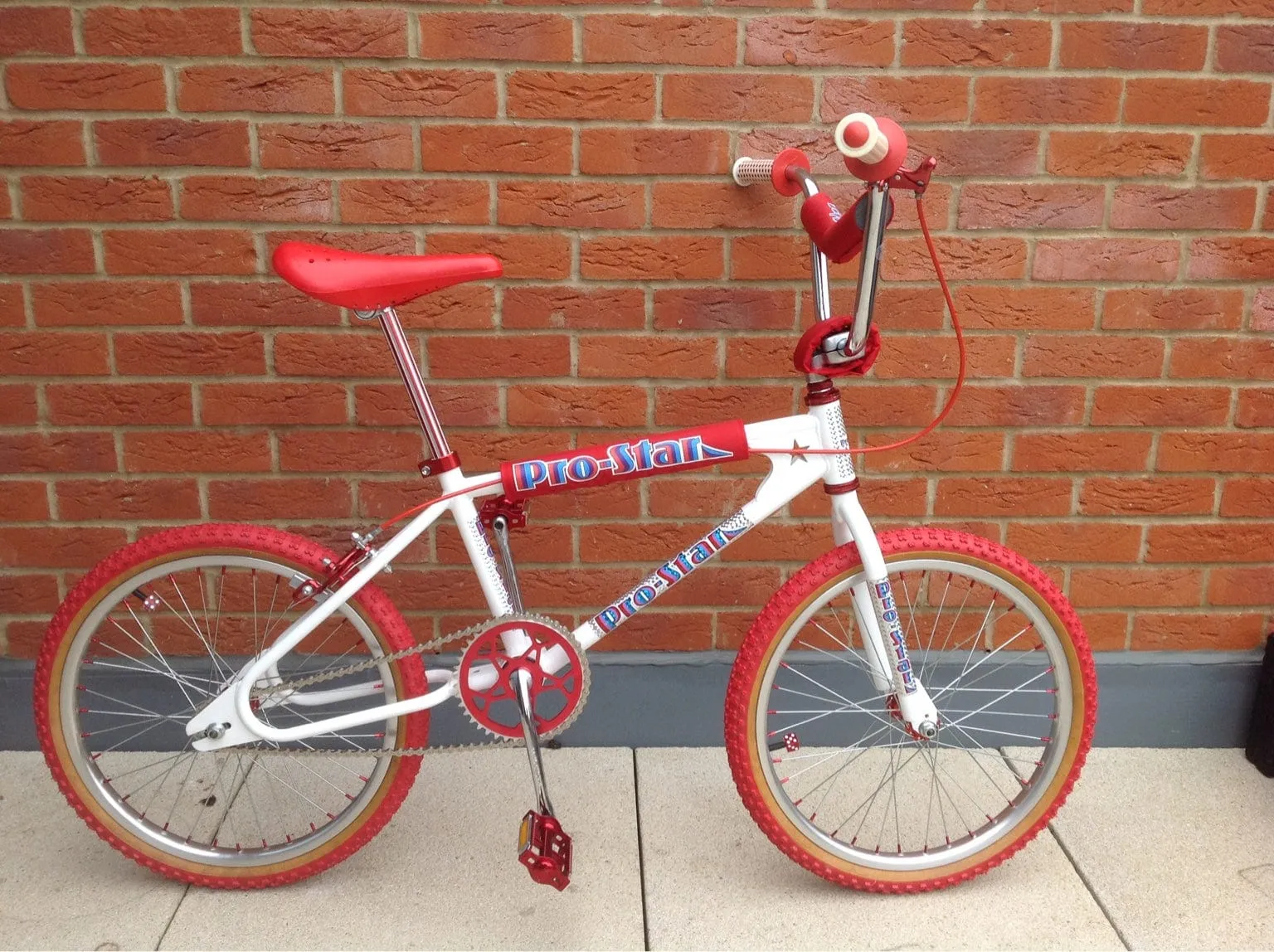 Pro Star Frame Downtube and Fork Stickers
