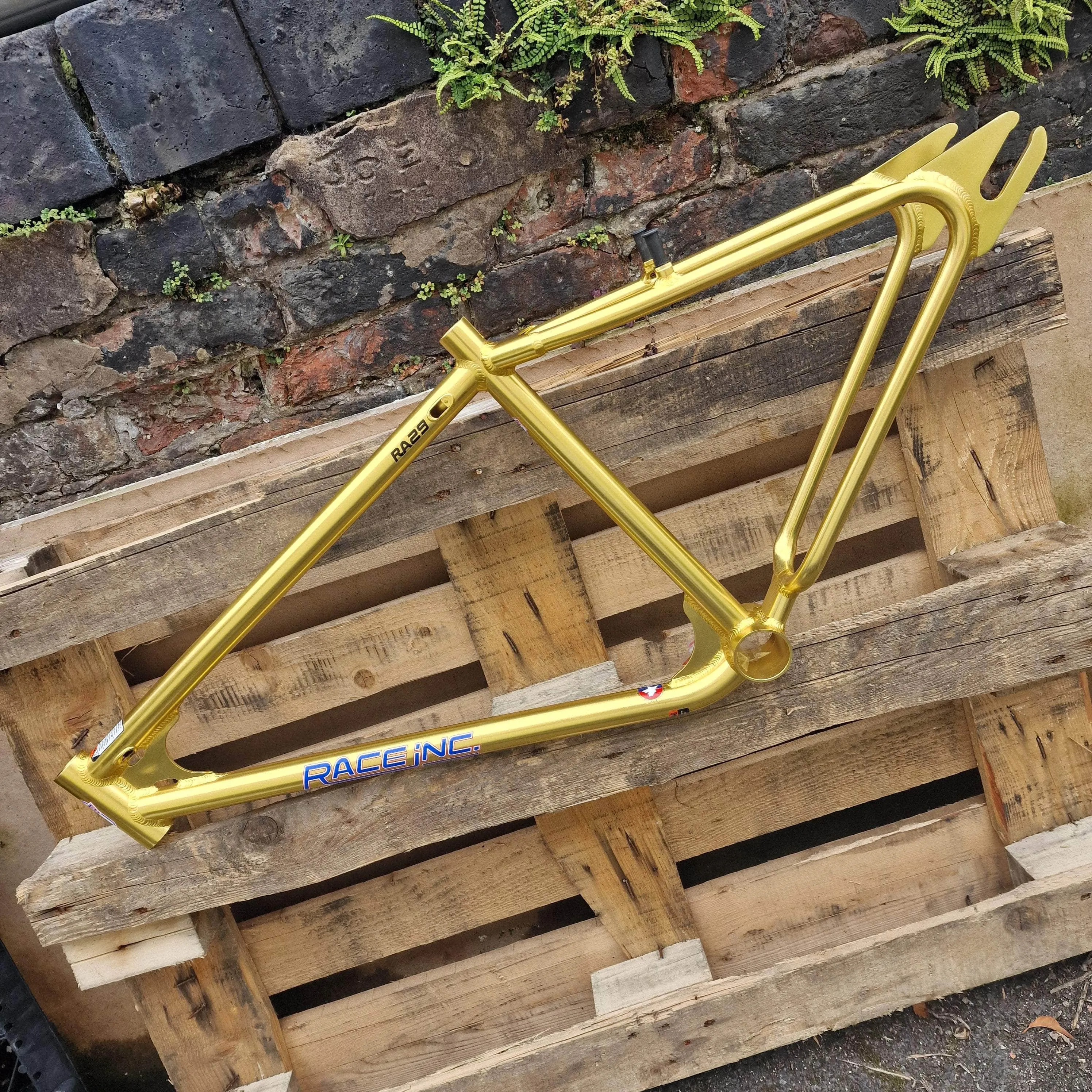Race Inc RA29 Custom 29 Inch Custom Bike Gold / Black
