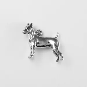 Rat Terrier