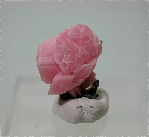 Rhodochrosite and Quartz, American Tunnel, Silverton, Colorado TN 1  x 1.5 x 1.5 cm $100.
