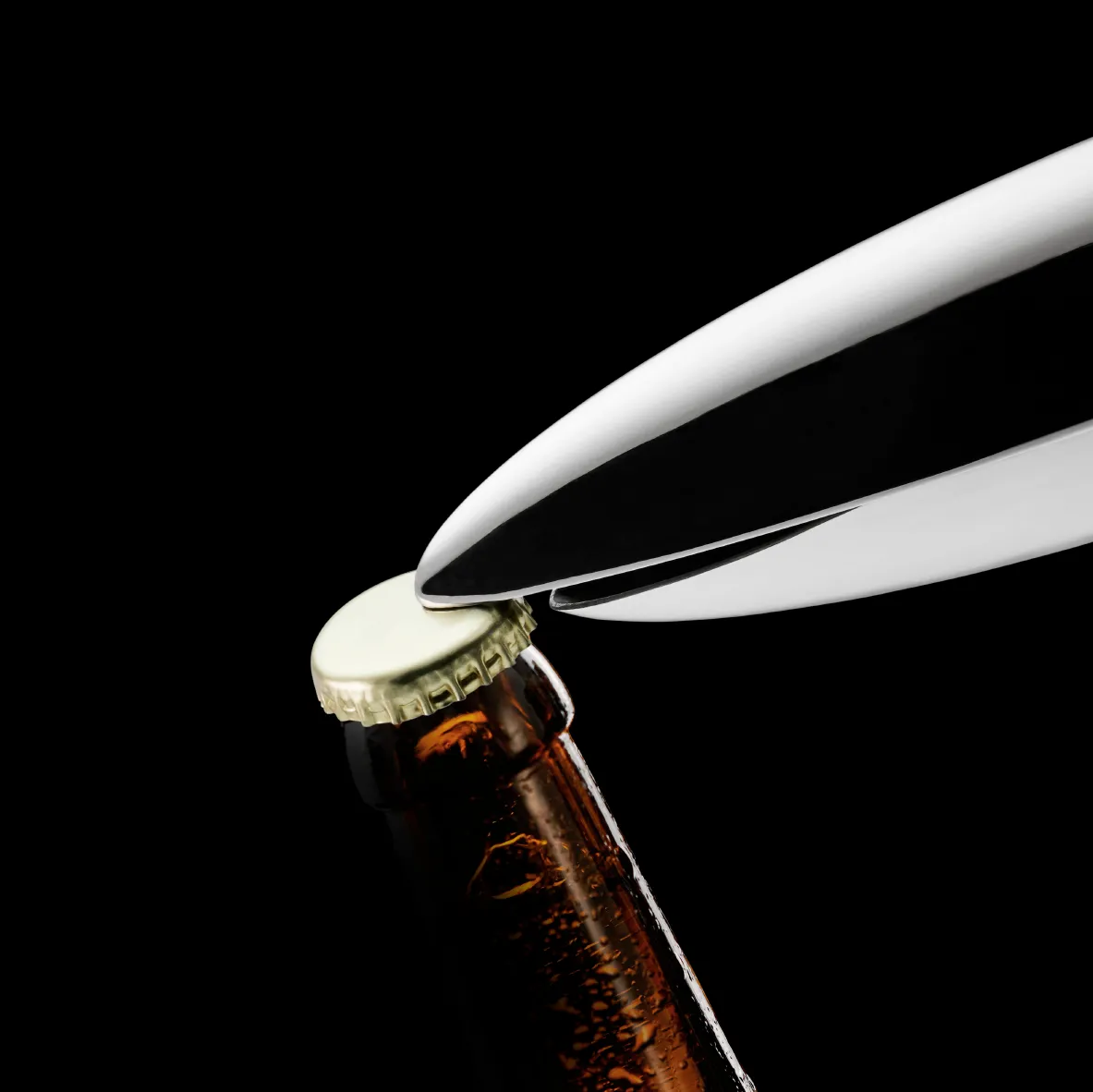 Shark Bottle Opener