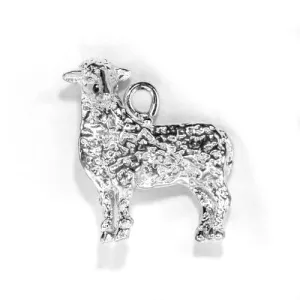 Sheep, Side View