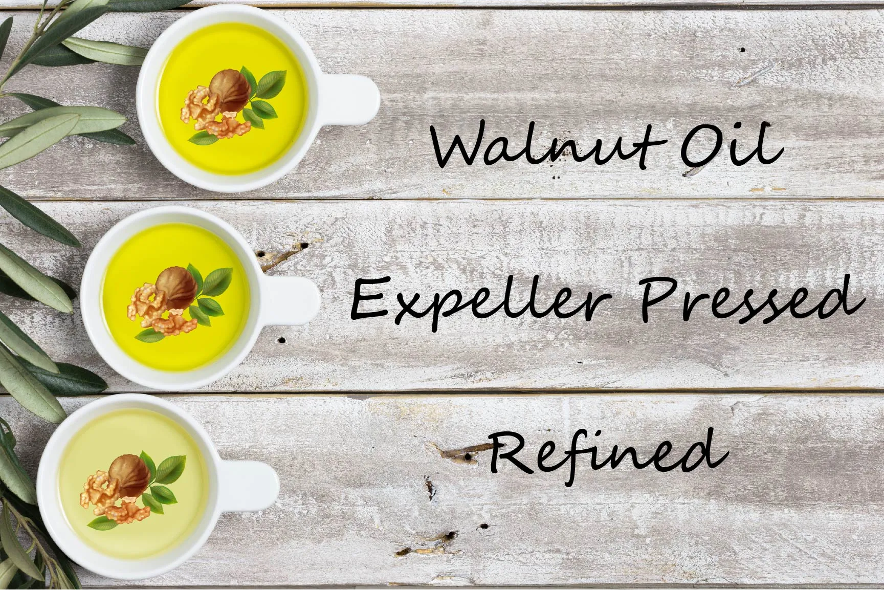 Specialty Oil - Walnut Oil - Expeller Pressed, Refined