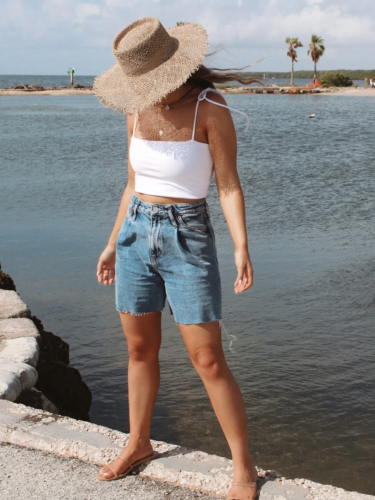 The LAURA Crop