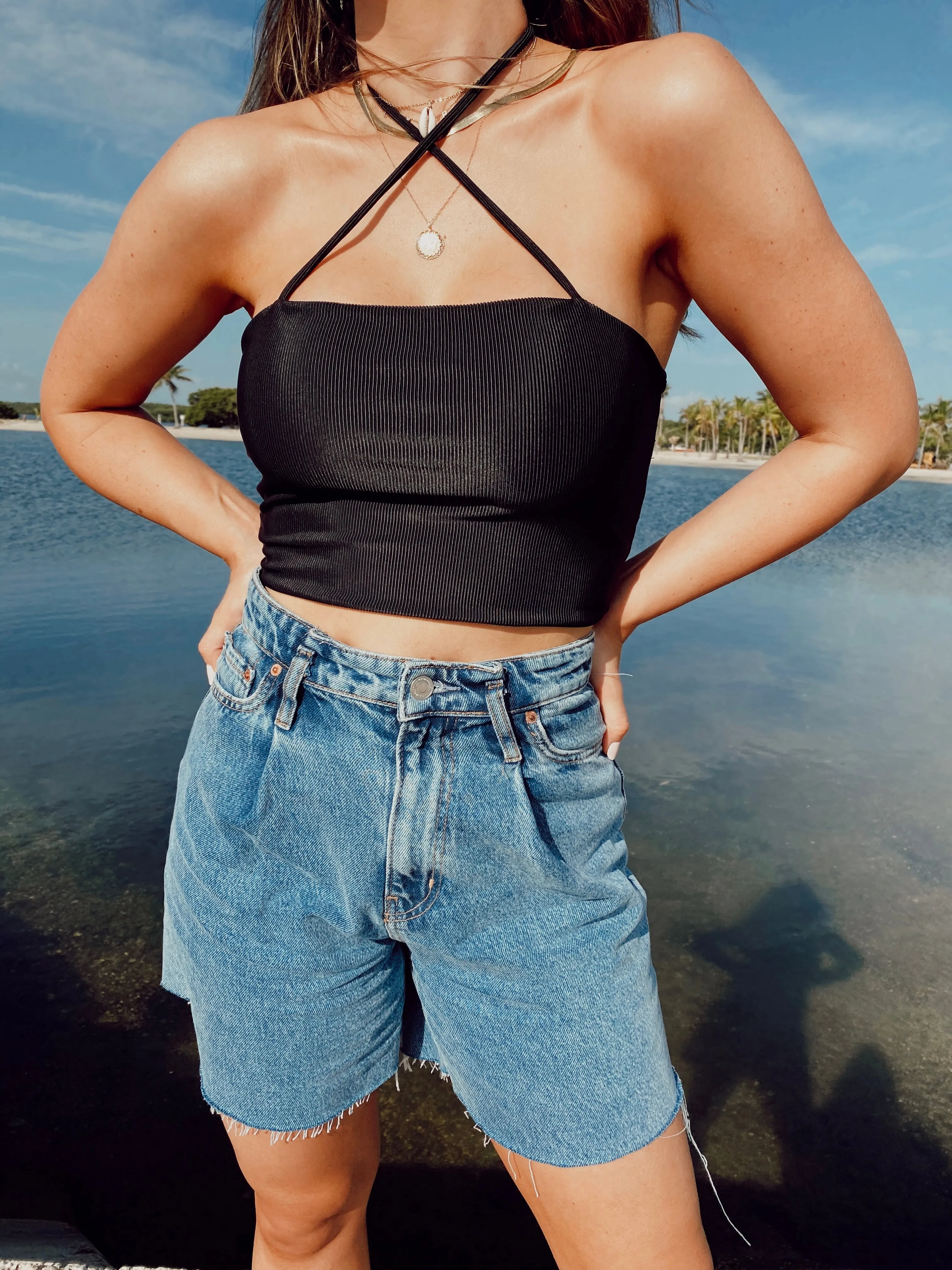 The LAURA Crop